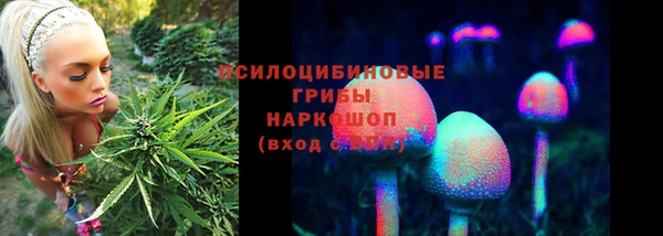 герыч Алзамай